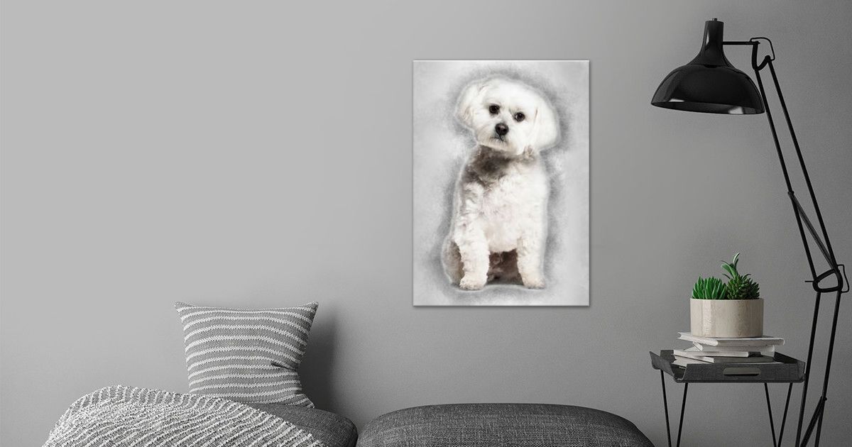 'Maltese dog sitting agains' Poster by Noahs Ark | Displate