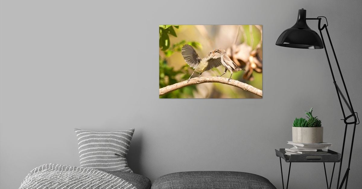 'Female Palestine Sunbird ' Poster by PhotoStock-Israel | Displate