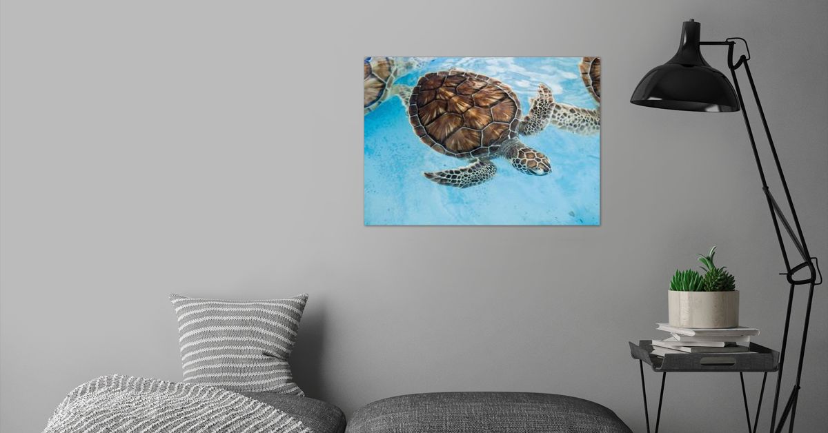 'Truly a turtle' Poster by Artistic Prints | Displate