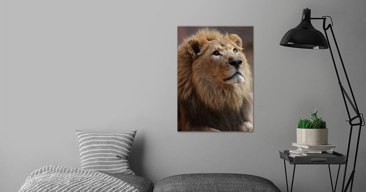 'Lion Prayer' Poster by Melanie Kowasic | Displate