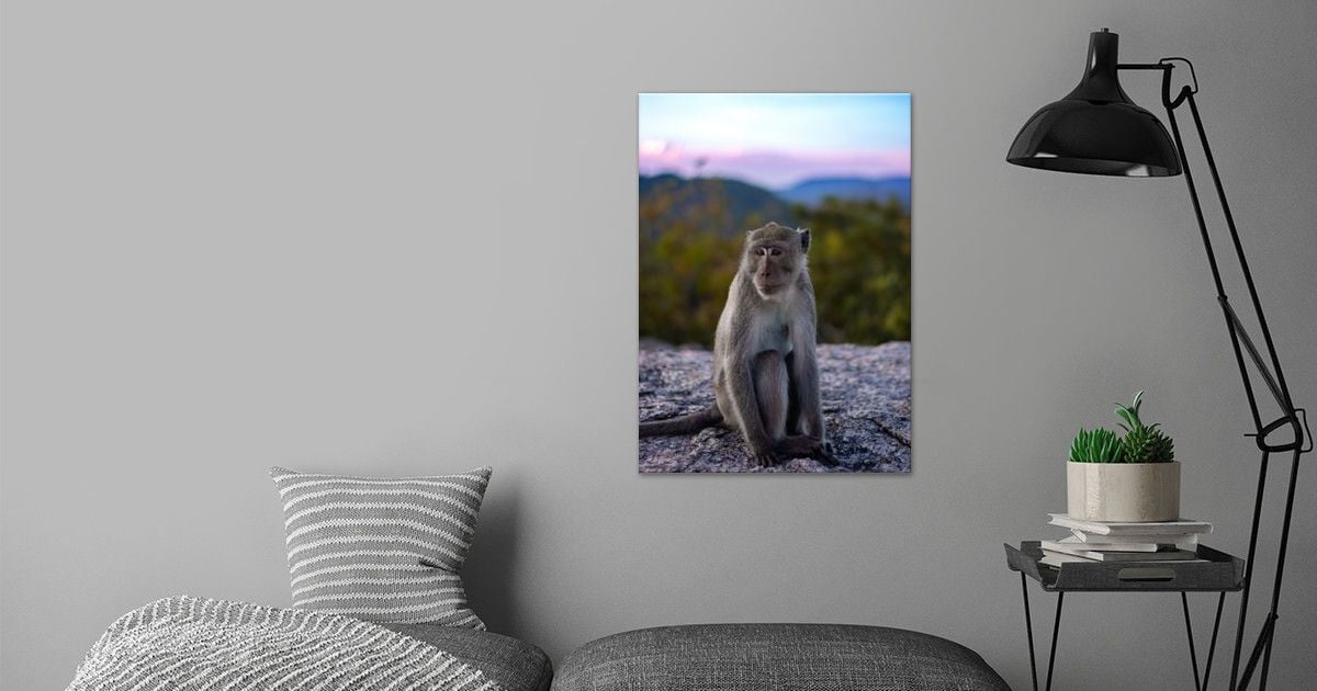'Cute primate' Poster by PANDAS IN CHINA | Displate
