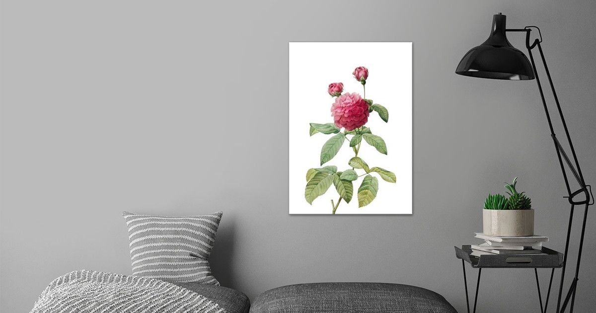 'Agatha Rose in Bloom' Poster by Holy Rock Design | Displate