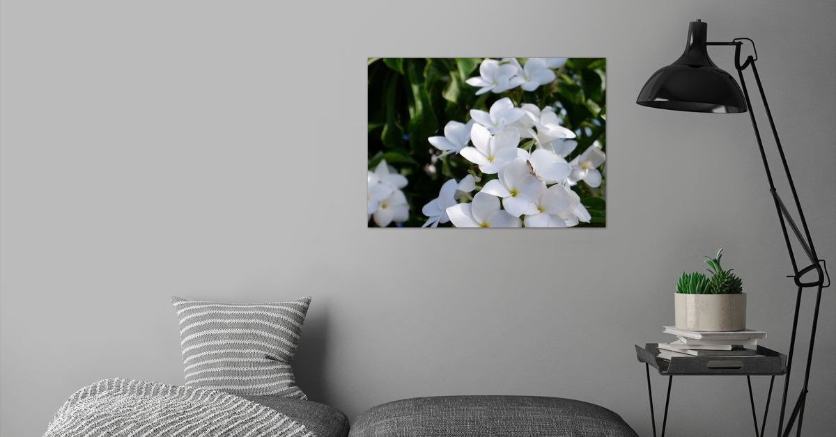 ‘Beautiful White Flower’ Poster by Yame Design | Displate