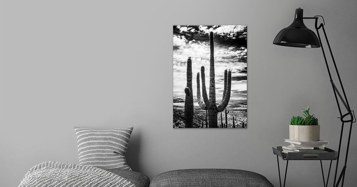 'Saguaro Skies' Poster by John Thor | Displate