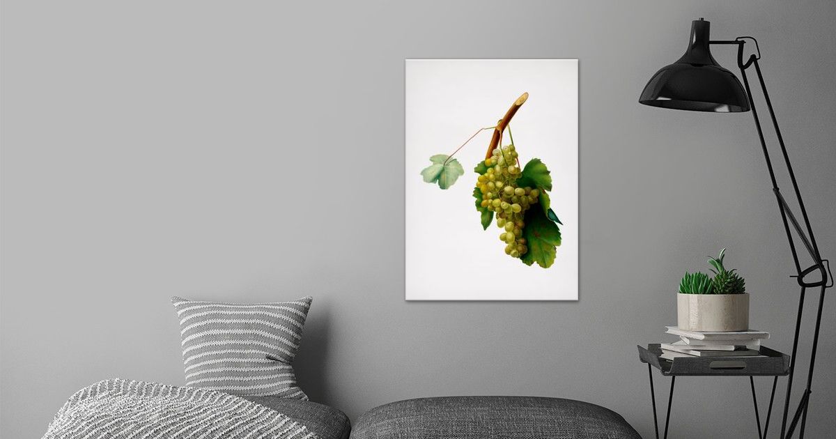 'Vintage Grape Vine Fruit' Poster by Holy Rock Design | Displate