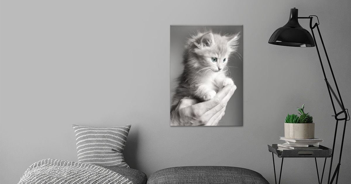 'Cute Cat on Hand' Poster by Malte | Displate