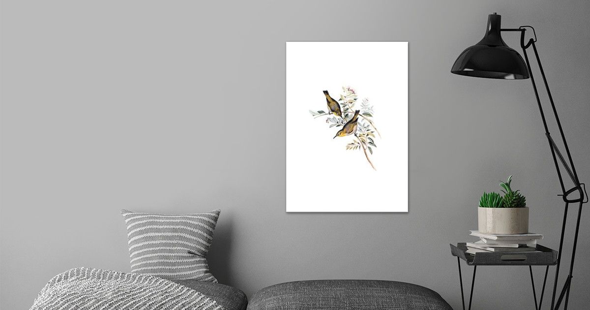 'Robust White Eye Zosterops' Poster by Holy Rock Design | Displate