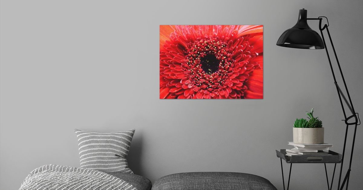 'A red flower' Poster by Ravindra Kumar Displate