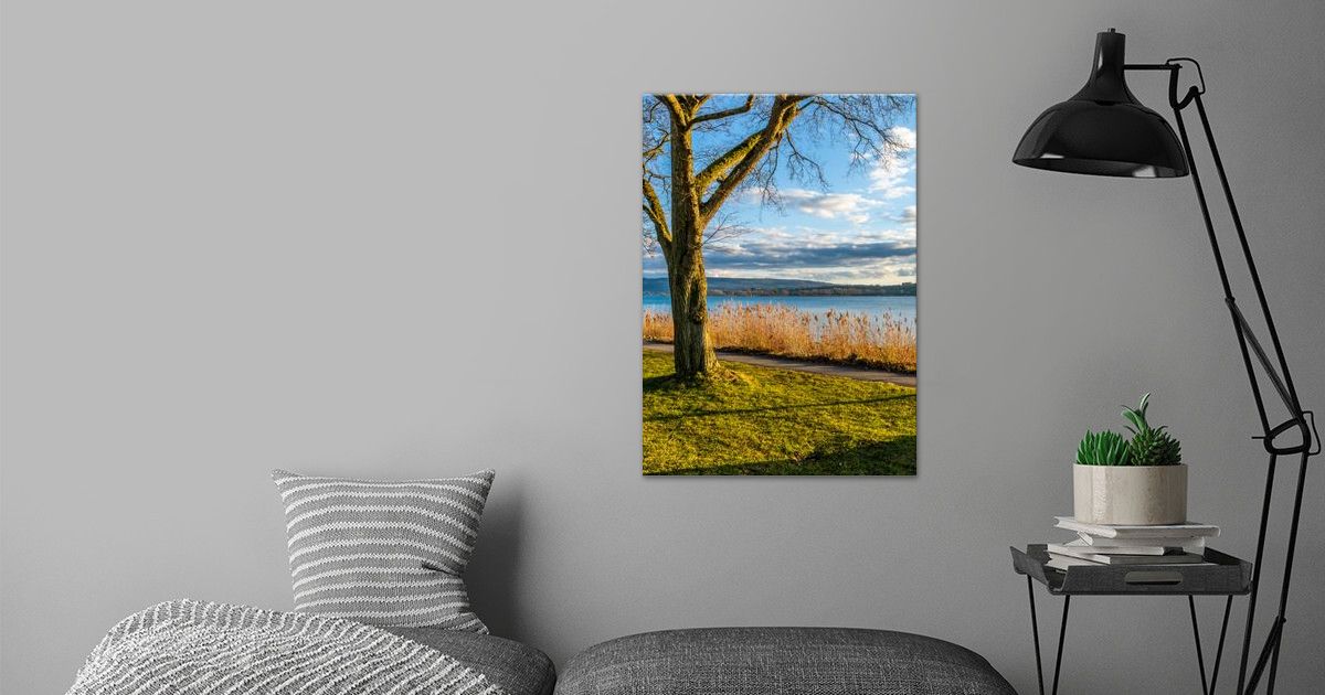  the Tree Poster By Marc Kunze Displate