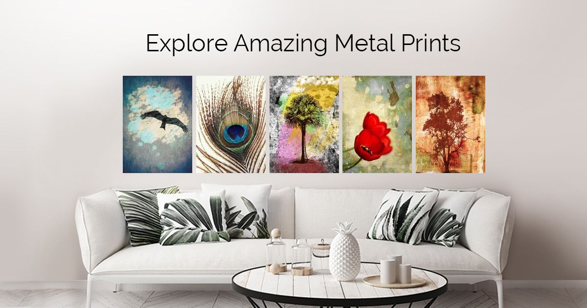 Displate metal posters Collect Your Passions